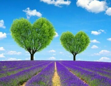 Urlaubsorte & Reiseziele