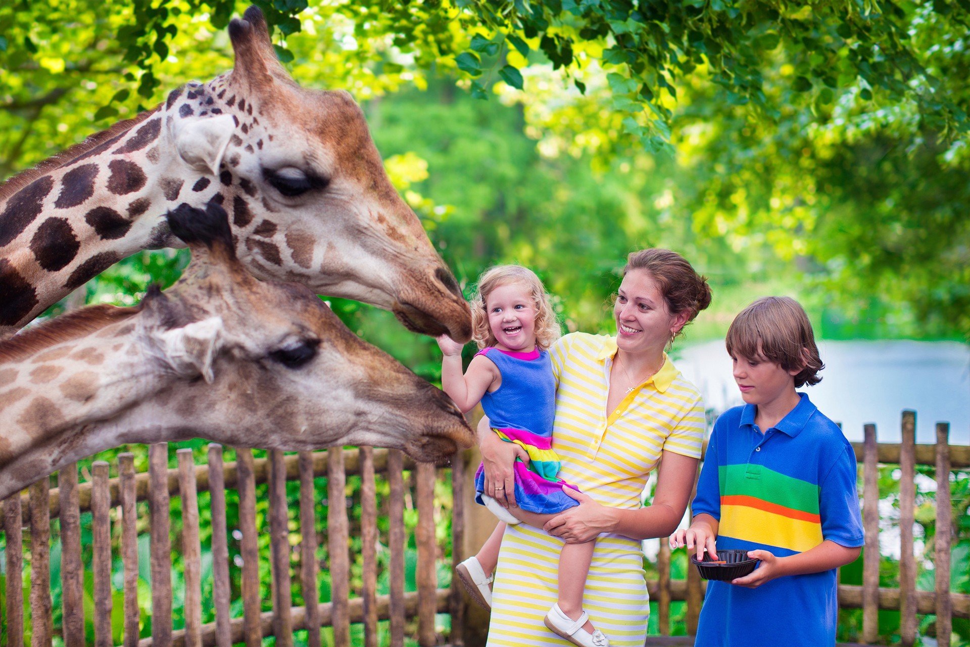 Familie, die Fütterung giraffe in einem zoo