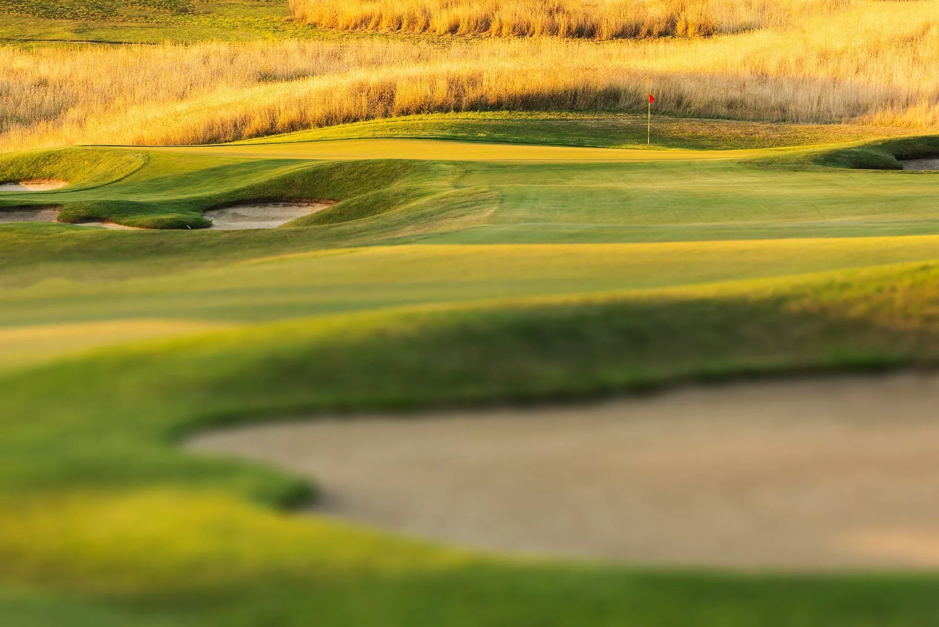 Golf club und ball auf Gras