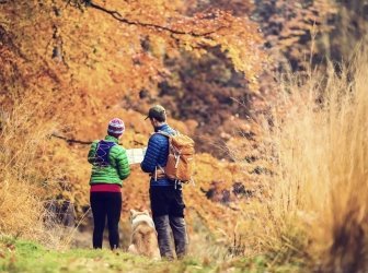 Paar Wandern im Herbst Wald