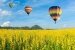 Heißluftballon über gelbe Blume Feld gegen blauen Himmel  