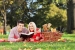 Liebespaar lesen Sie ein Buch im park