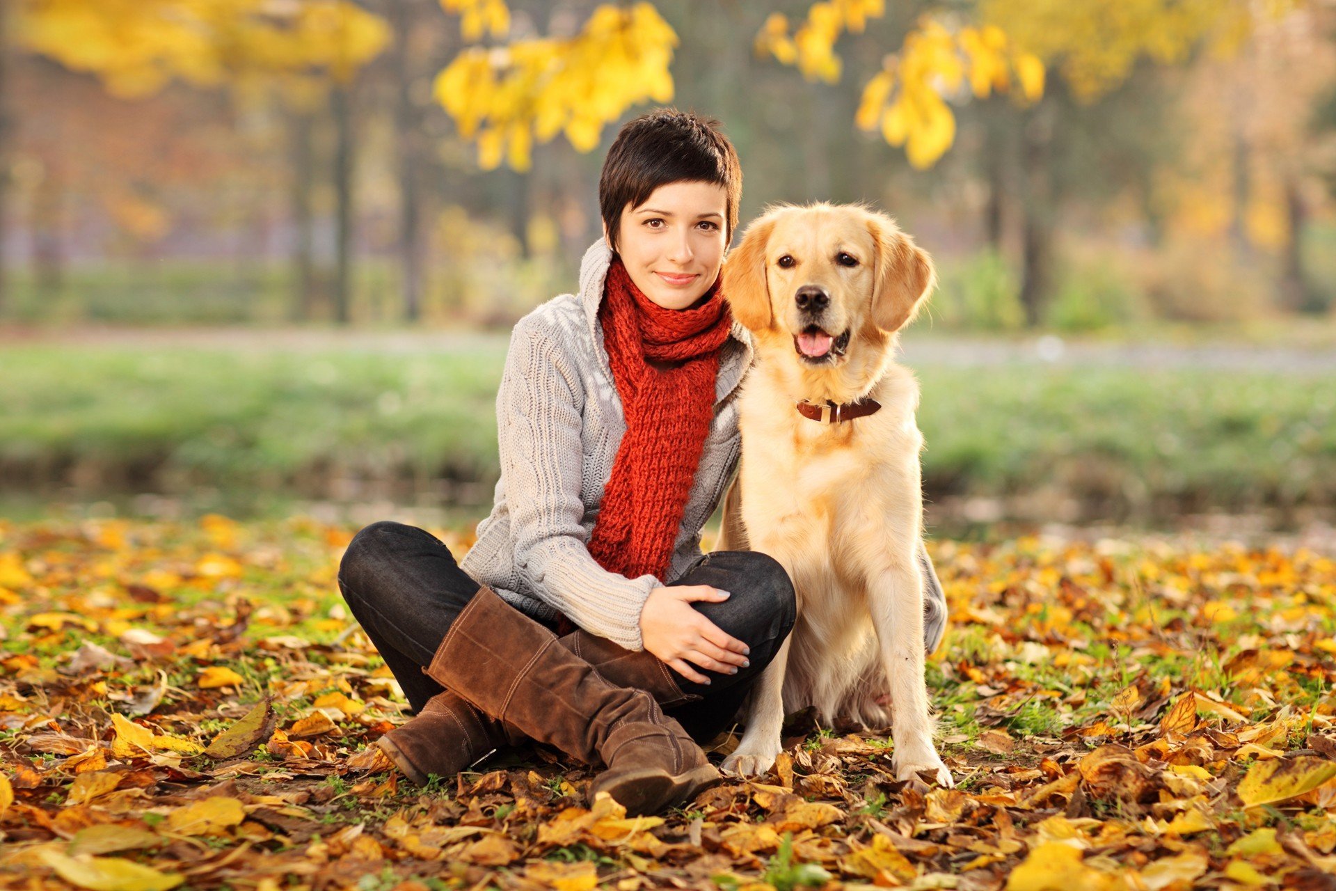 Schöne Frau und seine Hunde (Labrador retriever)