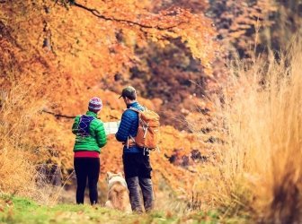 Paar Wandern im Herbst Wald 