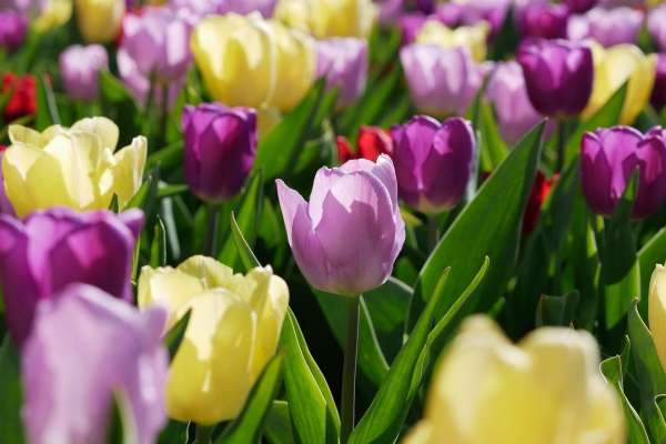 Wochenendtrips April