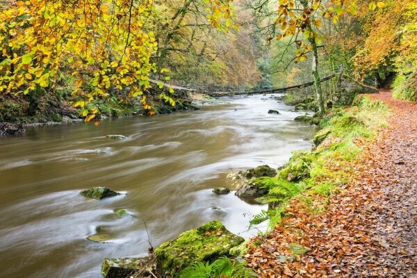 Fluss im Herbst