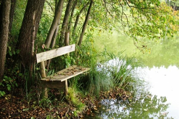 Herbst am See