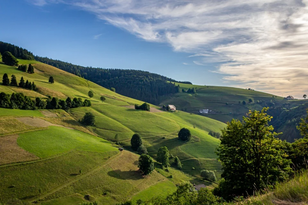 Nordschwarzwald