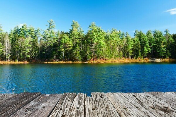 Steg im White Mountain Nationalpark, New Hampshire