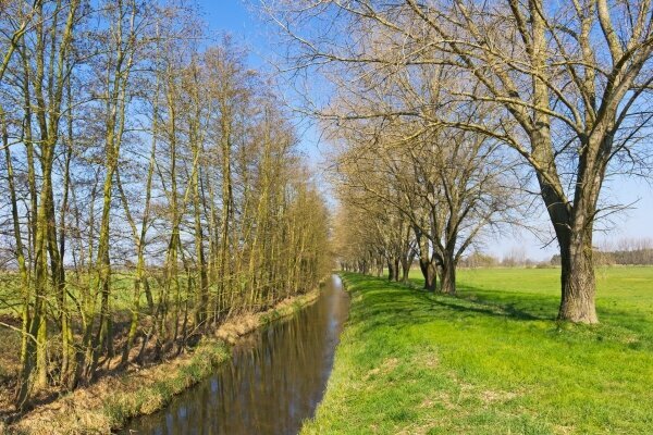 Der Frühling steht vor der Tür