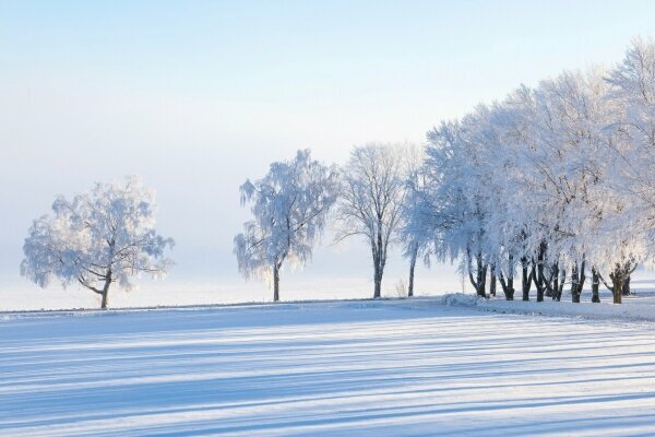 Winter Baum