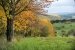 Herbstlandschaft, bunte Bäume und Felder in Deutschland