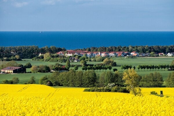 Blick auf die Ostsee