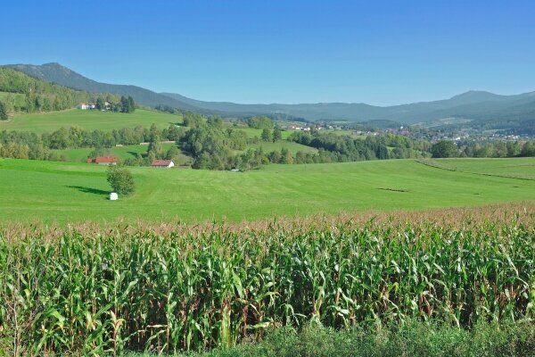 Lam, Bayrischer Wald, Deutschland