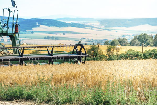 Schneider der Ernte auf einem Sommergerstenfeld