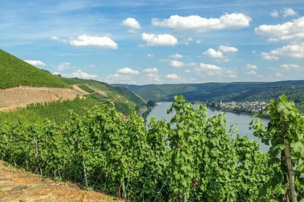 Boppard 