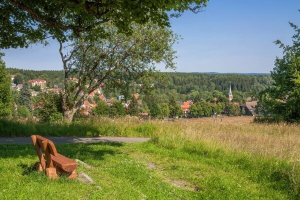 Braunlage, Nationalpark Harz