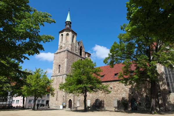Braunschweiger Löwe, Burg Dankwarderode und das Rathaus von Braunschweig