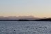 Starnberger See mit Enten und Roseninsel