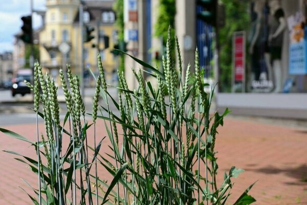 Herleshausen im Werratal