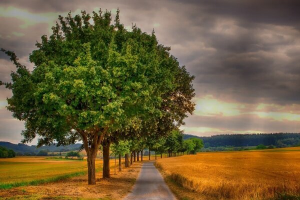 Landschaft Rheinland-Pfalz