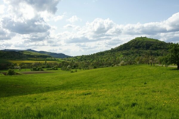 schöne Grünlandschaft