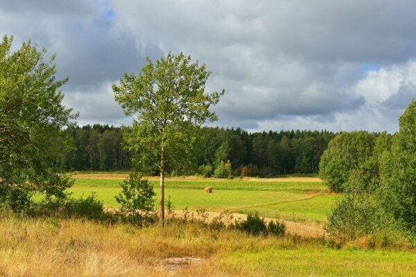 Ländliche Landschaft im frühen Herbst Halle (Westfalen) 