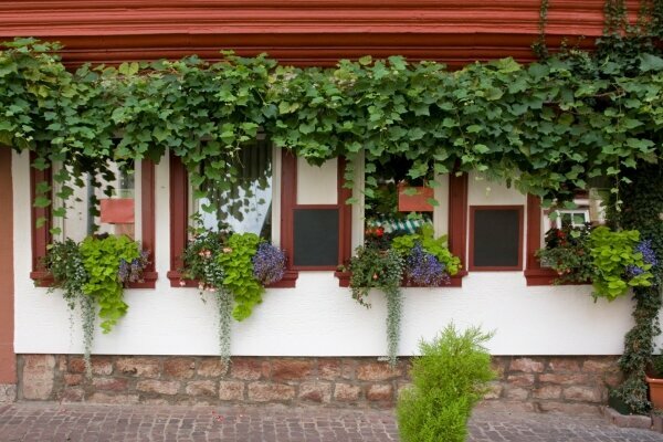 Hausfassade in Miltenberg