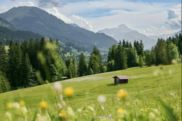 Horgau