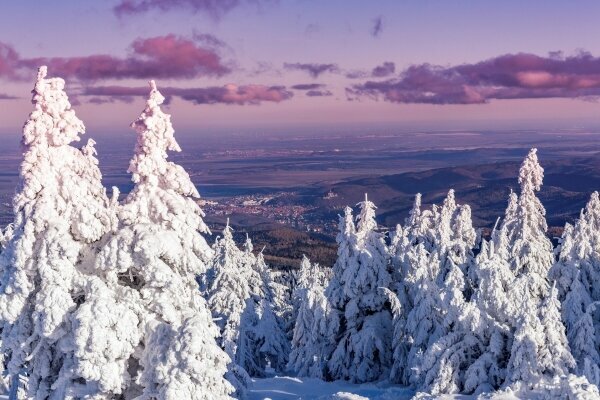 Harz Landschaft Winter