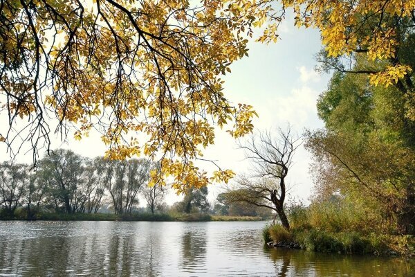 Spreewald