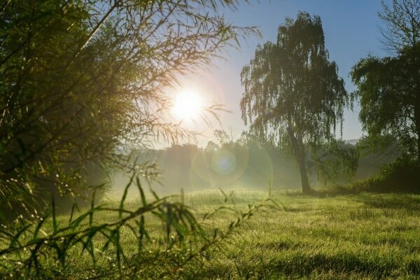 Dübener Heide Natur