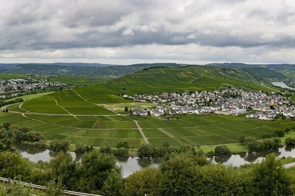 Mosel Leiwen