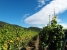 Wanderweg