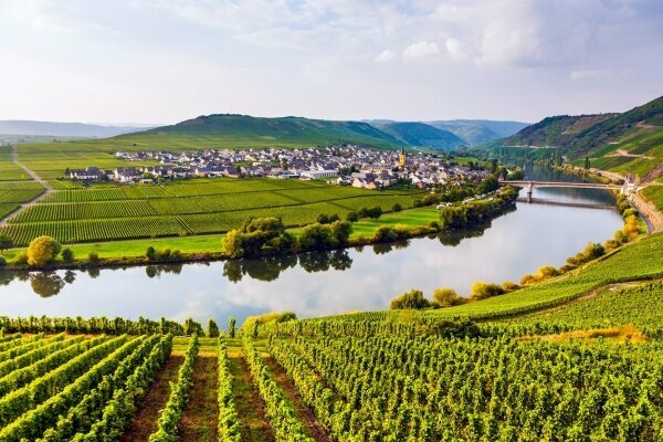 Berühmte Mosel Flussschleife mit Weinbergen