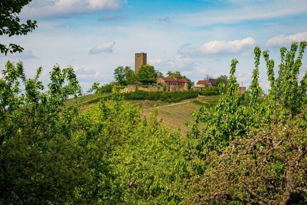 Neckarbischofsheim 