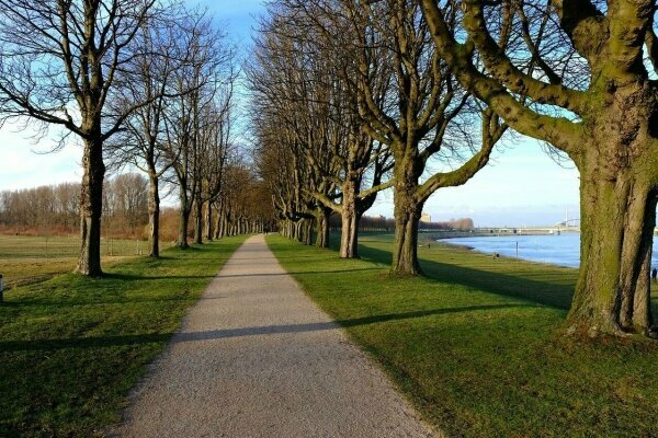 Zons, Rhein, Rheinland, Deutschland