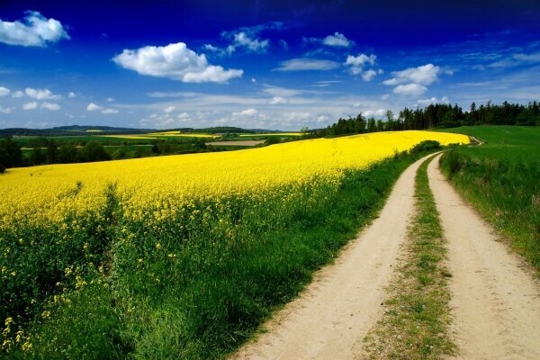 Ländliche Landschaft und Straße