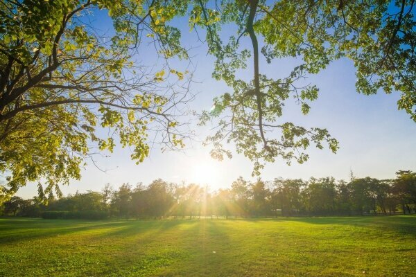 schöne Sommerlandschaft