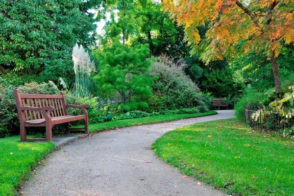 Weg in einem grünen Garten