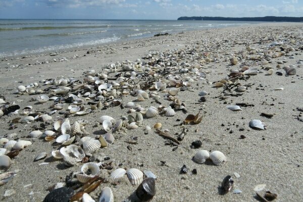 Strand von Bio, Insel Ruegen, Deutschland