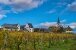 Rheinau