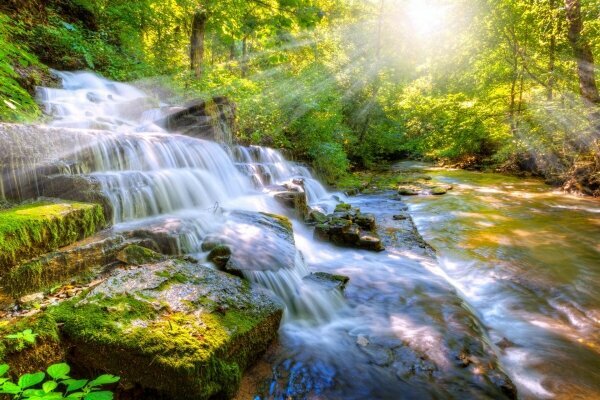 Wald Bach und Wasserfall