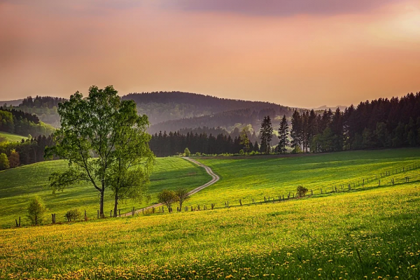 Grafschaft Im Sauerland