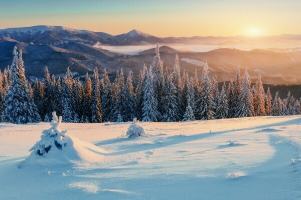 Magischer Winter mit schneebedeckten Bäumen