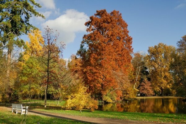 Herbst Teich