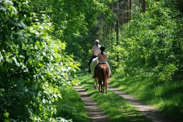 Reiten