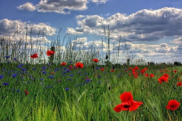 Natur Brandenburg