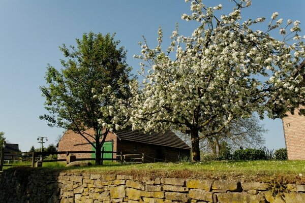 Ländliche Frühling