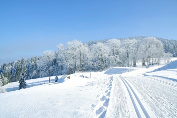 Winter im bayrischen Wald, Deutschland